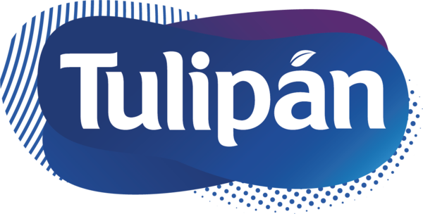 Tulipan